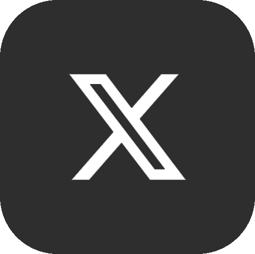 x icon